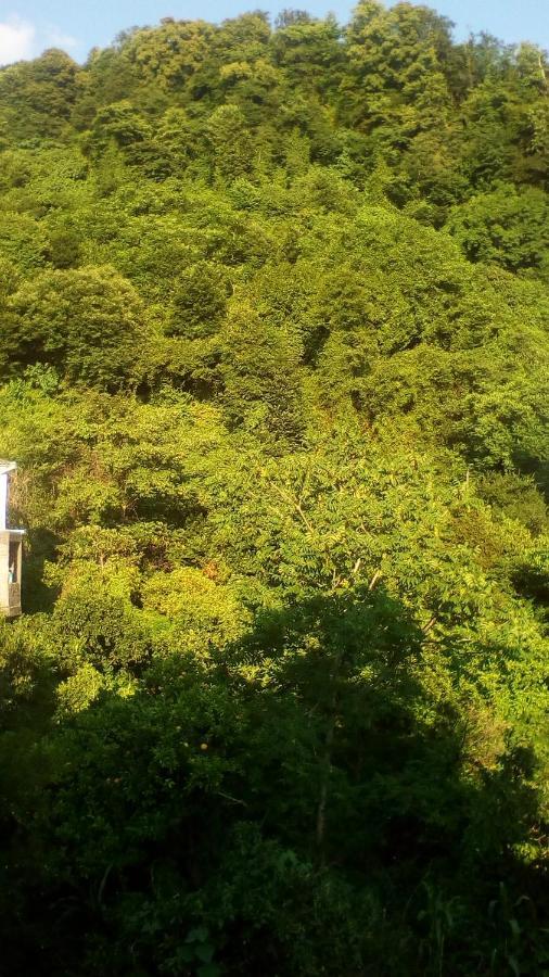 Guest House Marineza Gonio Exterior foto